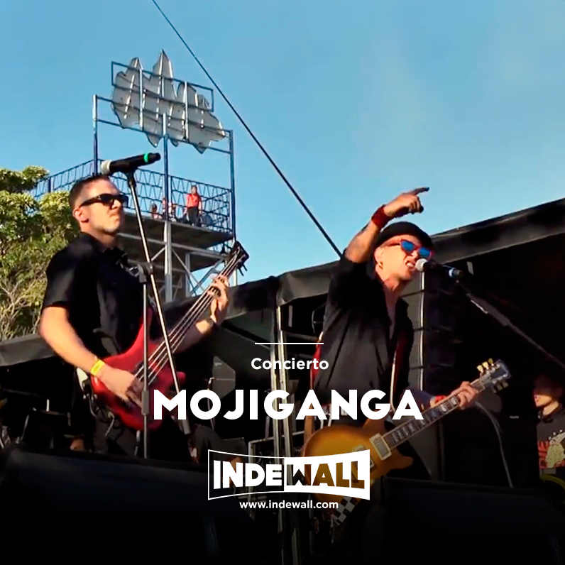 Indewallofficial tweet media