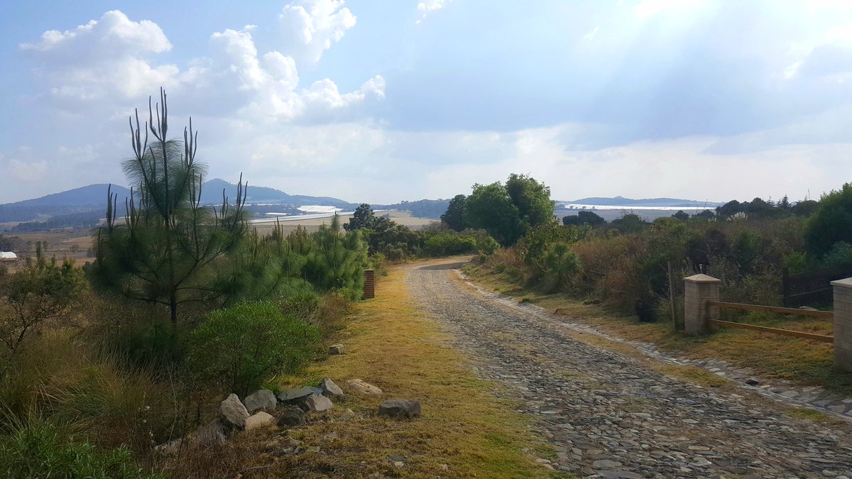 IngFNava's tweet photo. Los alimentos de quien vive en la ciudad, dependen del agricultor junto con agrónomos y contra todas las adversidades llevan tres o más veces al día comida a la mesa de todos.

¡¡¡ Felicidades a los Agrónomos en su día !!! https://t.co/fMDzJBTajt