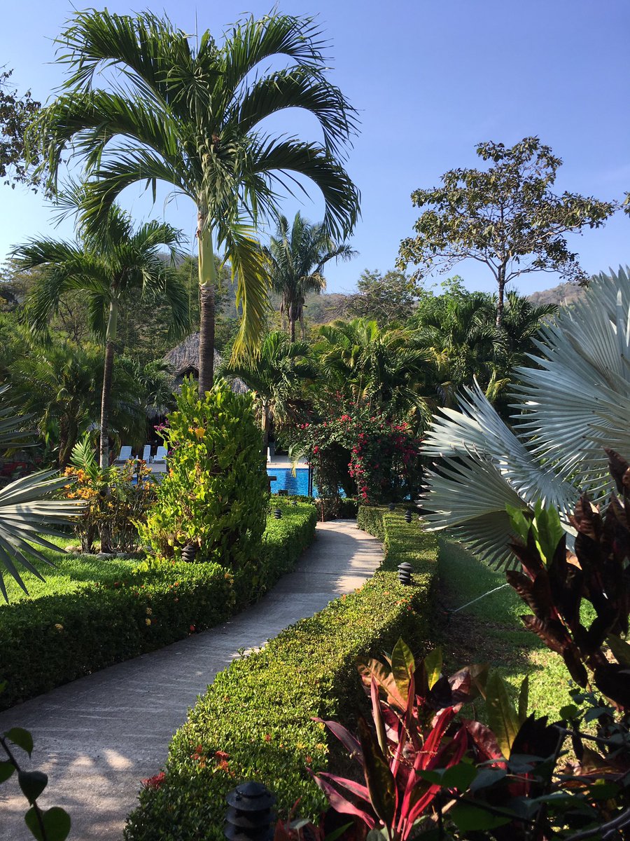 ODSSCostaRica's tweet photo. Arrived at Leyenda Hotel in Playa Carrillo. https://t.co/SaOHcL3spg