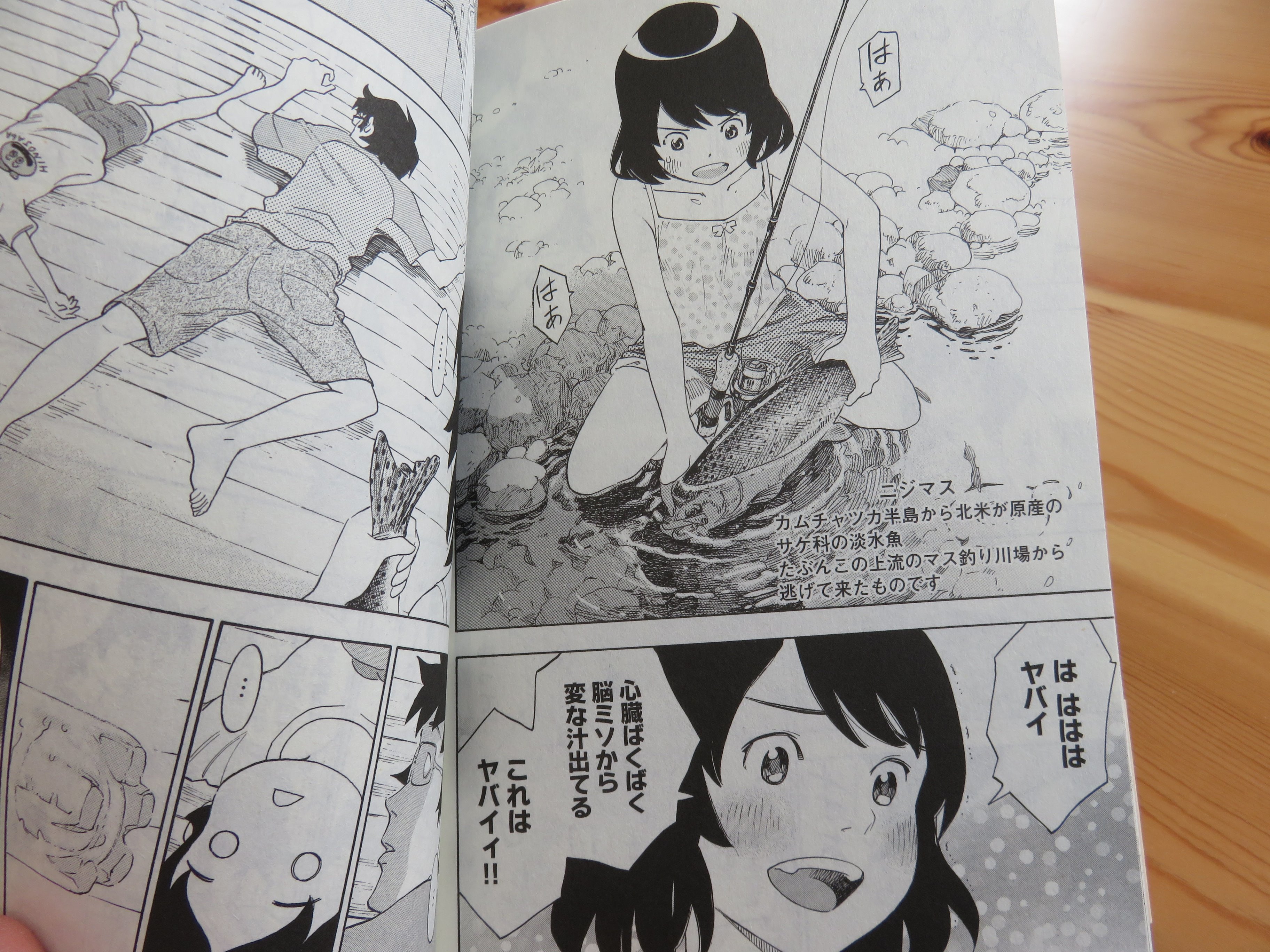 Izu Stomi 関口太郎さんの ゆるさば のワンシーン モモの ヤバイ 脳ミソから変な汁出てる って気持ち すごくよく分かる 自分も初めてルアーで魚釣ったり 焚火で食べた時 こいつぁーヤバイ って独りごと言ってました 笑 また渓流釣りに行き