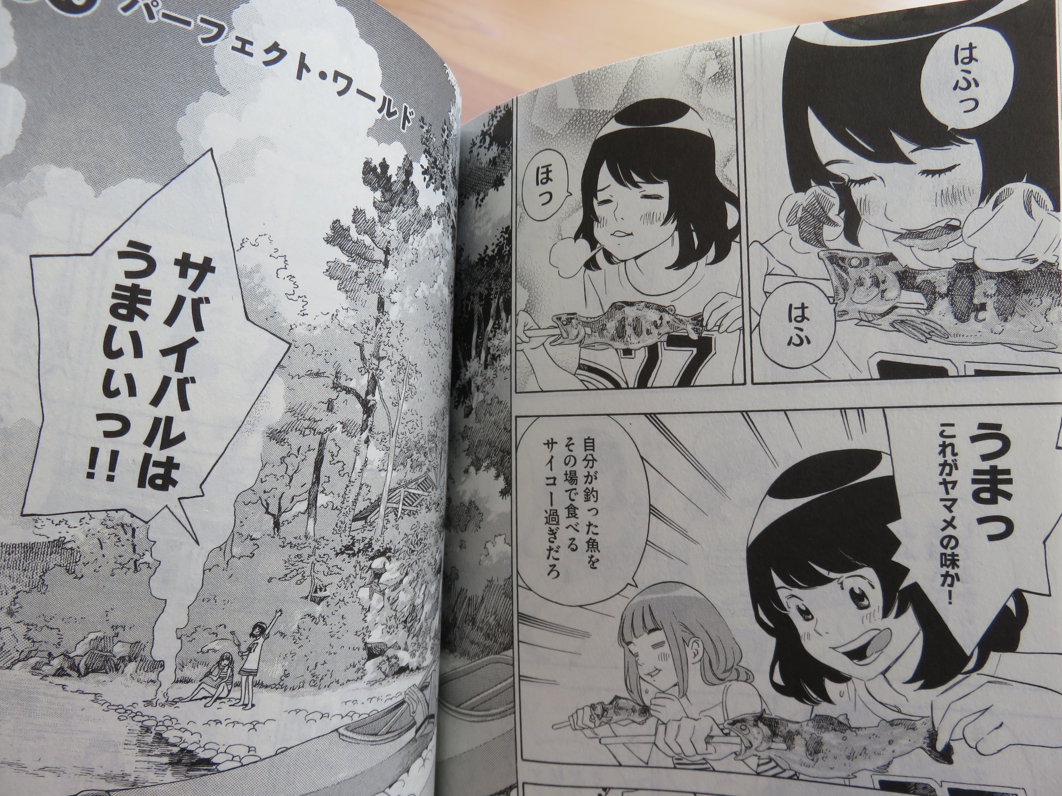 Izu Stomi 関口太郎さんの ゆるさば のワンシーン モモの ヤバイ 脳ミソから変な汁出てる って気持ち すごくよく分かる 自分も初めてルアーで魚釣ったり 焚火で食べた時 こいつぁーヤバイ って独りごと言ってました 笑 また渓流釣りに行き