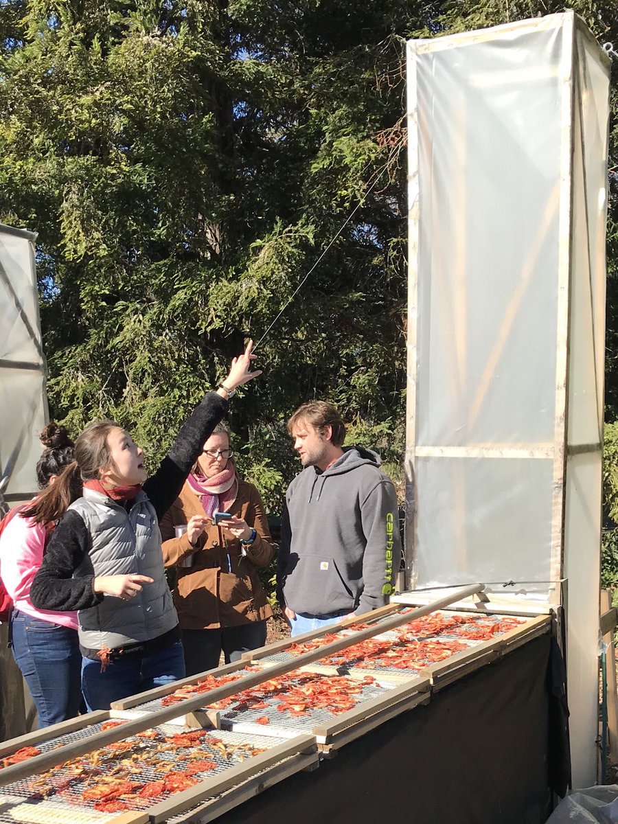 HortInnovLab's tweet image. Junior Michelle Boutell leading groups of UC Davis students studying international agricultural development through the Horticulture Innovation Lab&apos;s demonstration center today - talking about low-cost cooling innovations, the chimney solar dryer, DryCard &amp;amp; D-Lab #UCDavisGlobal
