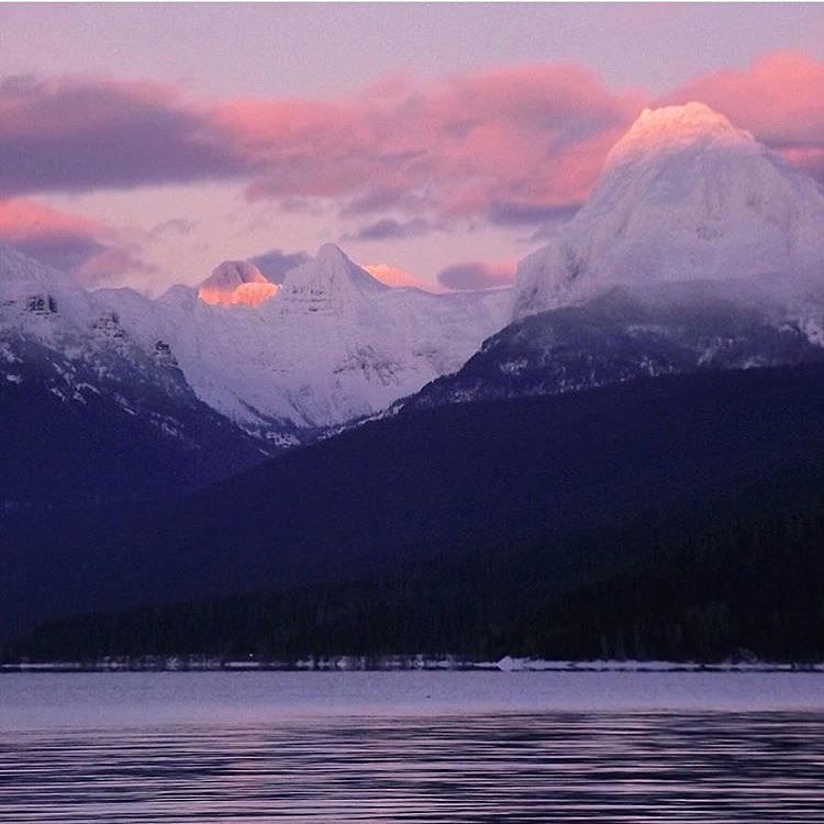 GlacierLodges's tweet photo. #XanterraTravel #repost ๐ทcorepieces
โ In every walk in nature one receives far more then he seeks โ John Muir
#glaciernationalpark #nationalpark #mountains #sunsetmountains #mountainsunset #naturalbeauty #johnmuir https://t.co/6PaMAPFSUe