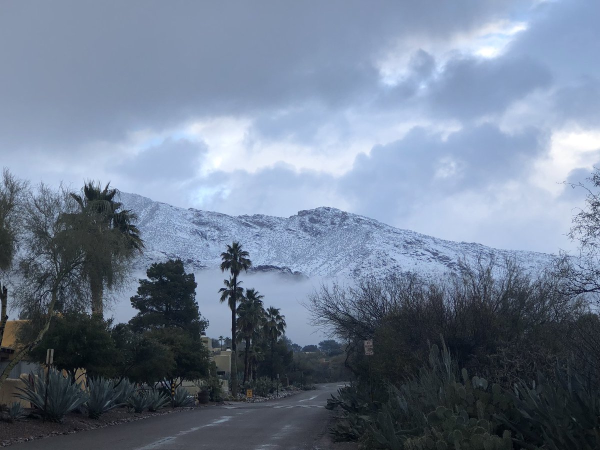 The gorgeous Catalinas.                    📷: @sai_sparthamd 
#TucsonSnow #snowday2019 #SnowInTheDesert #WhyILoveWhereILive