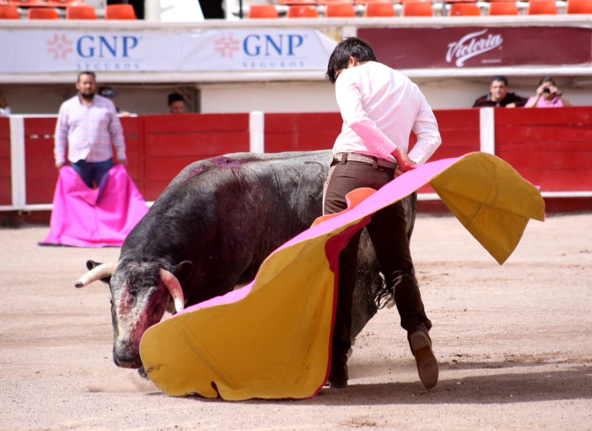 Gerardo Adame tweet media