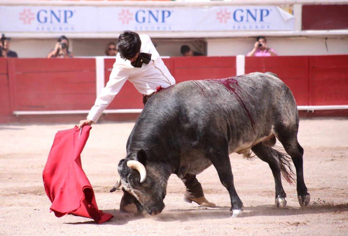 Gerardo Adame tweet media