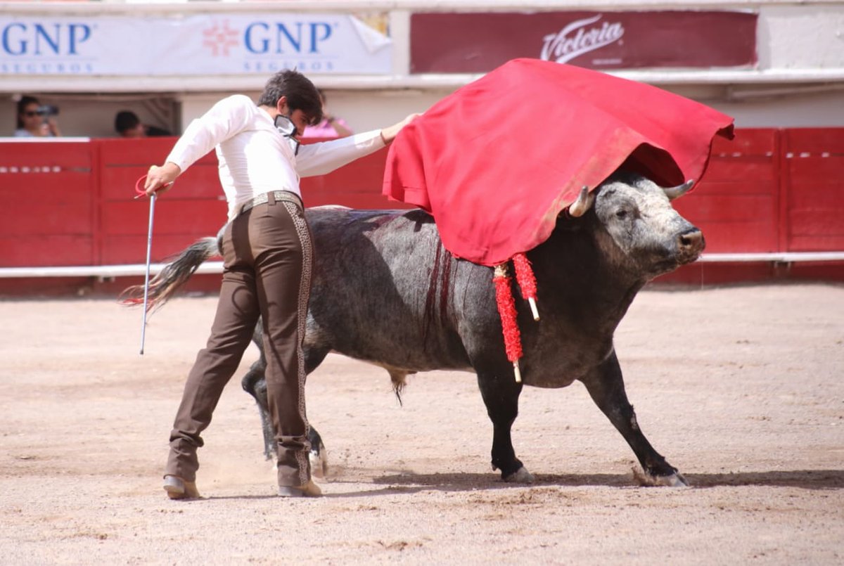 Gerardo Adame tweet media