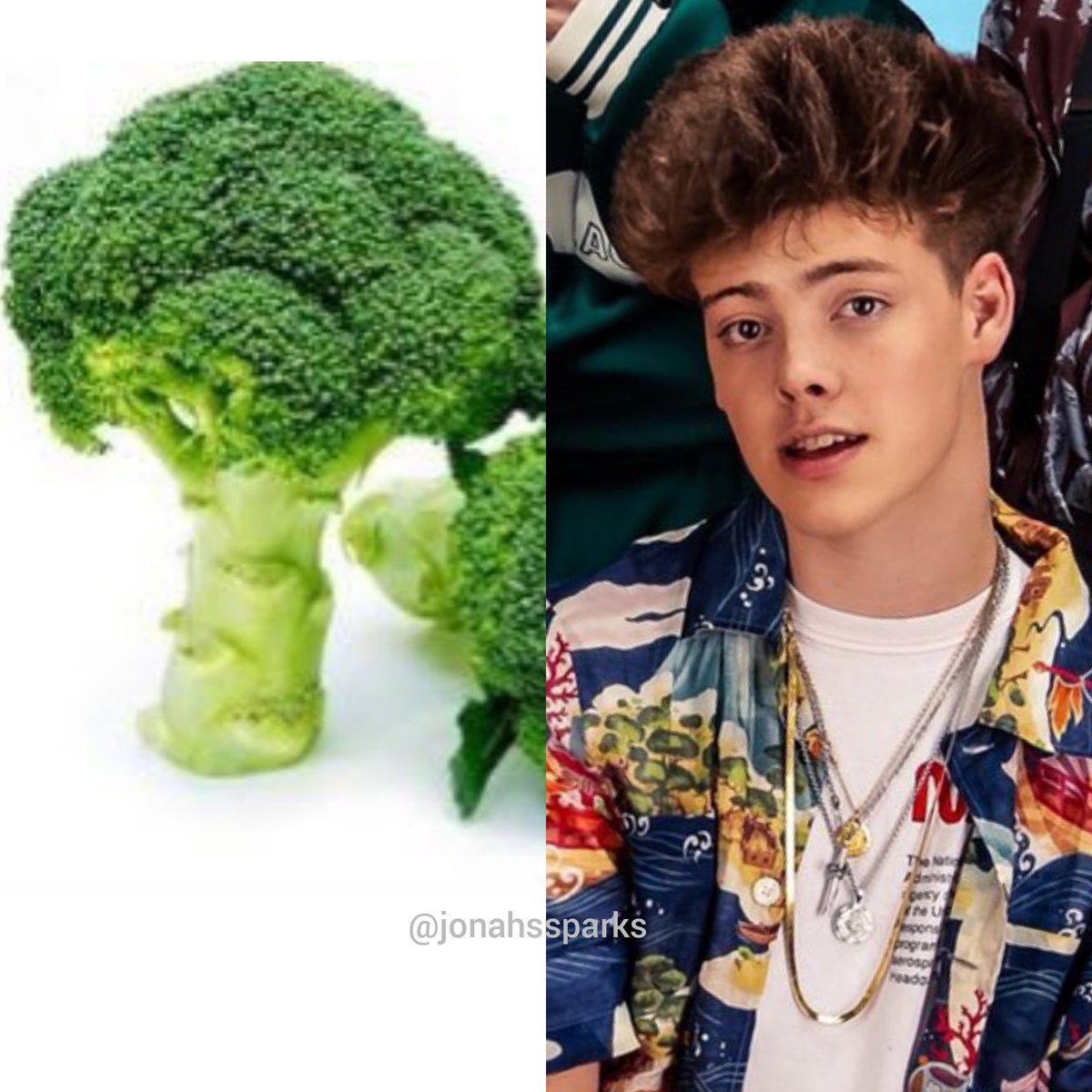 LOOK AT THEIR HAIR THO😂 AM I THE ONLY ONE WHO THINK THAT THEY LOOK VERY ALIKE? ONLY ME? UM OKAY. @ImZachHerron zach u need a haircut asap #Limelights #BestFanArmy #iHeartAwards