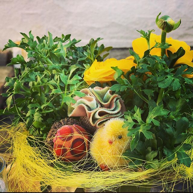PlushPumpkin's tweet photo. Spring in coming!!! Check out our adorable nests on our website (link in profile) @plushpumpkin #spring #springbreak #springnests #velvetpumpkins #plushpumpkins #tablescapes #placesetting https://t.co/AALu4lE50M https://t.co/Lf2sGPZ8O5
