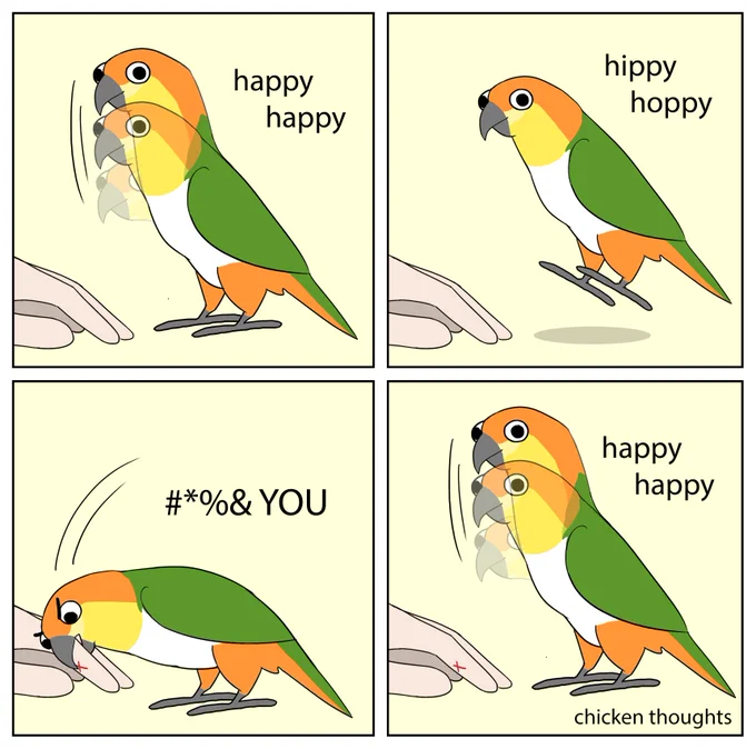 Featuring Rhaegal the caique! #birb 