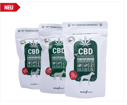 sandralancelot7's tweet photo. CBD Hundekekse
Mehr lesen: https://t.co/DcvSxxmTpt https://t.co/1ohJQ42nhs