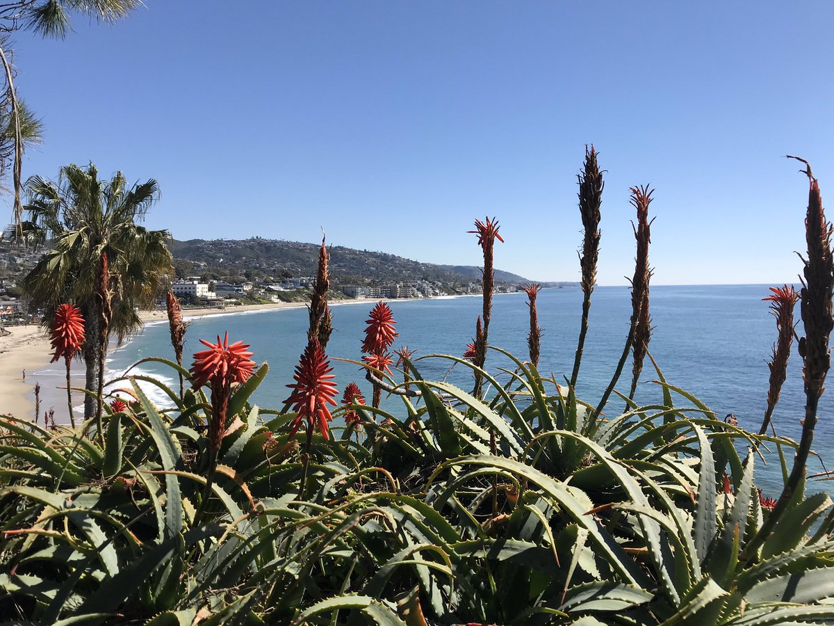 Want to switch it up and escape to a warm, beautiful beach? <a href="/GoTripHero/">TripHero</a>  can get you there
#beachlife #beaches #oceanview #ski #skiing #snowboard #snowboarding