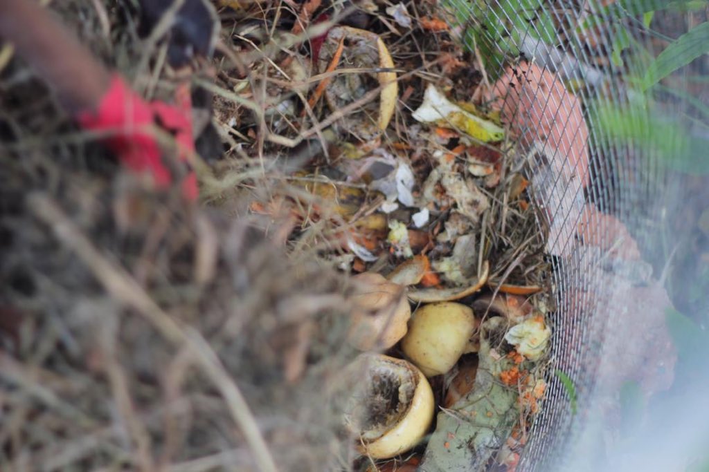 Konsep basic yg mereka guna ialah menggunakan rumput dan daun kering sebagai karbon. Daun hijau sebagai nitrogen. 40 hari akan menjadi tanah hitam. Cacing dan siput akan datang menjadi agen kompos.