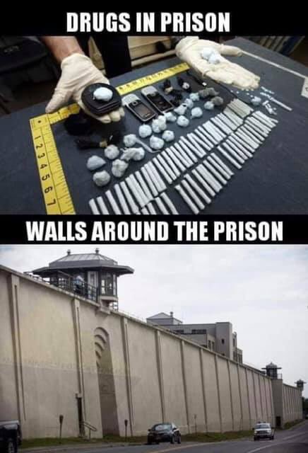 wavychaaap's tweet photo. @realDonaldTrump how’s that wall gonna help??? https://t.co/vhop5PMKNv