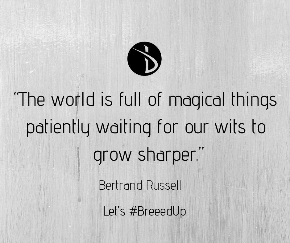 breeedup's tweet photo. Wits to grow sharper!
#breeedup #bertrandrussell #shortsayings #magicalthings #growsharper #patientlywaiting #BreeedupSportsQuotes #SportsQuotes #dynamicCharacter #strongcharacter #fitness #fitnesslifestyle #gymclothes #gymwear #gymessentials #gymessentials #letsbreeedup https://t.co/13tcP3V62H