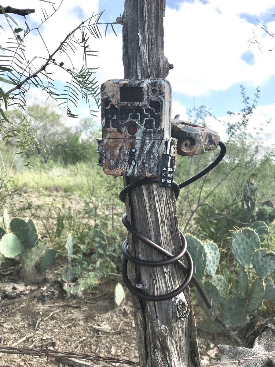 hgcoutdoors's tweet image. It’s never too early to scout. #scentcrusher #browningcams #badlandspacks #hgcoutdoors