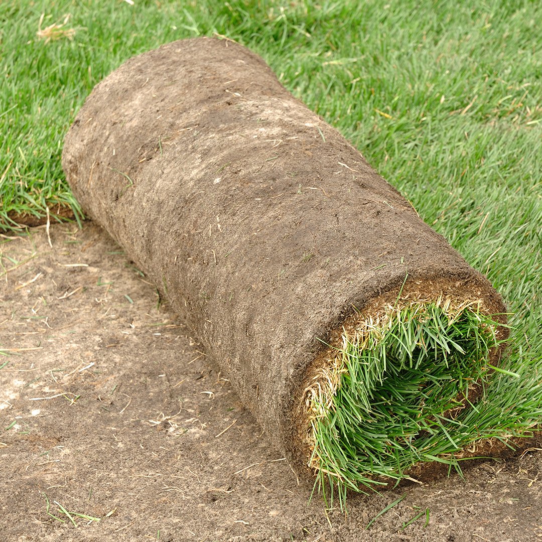donerightLawn's tweet photo. Make your yard look beautiful this spring by providing your yard sod. 

Contact us today! 

#sodding #landscaping #yardwork

https://t.co/mxctdg4RQU https://t.co/qnqs82YtUi