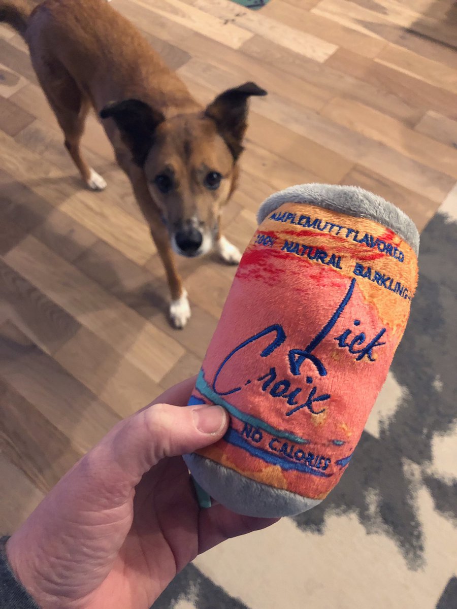 A LaCroix dog toy