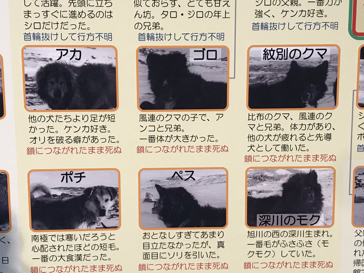 E6 A8 Ba E5 E7 8a Ac