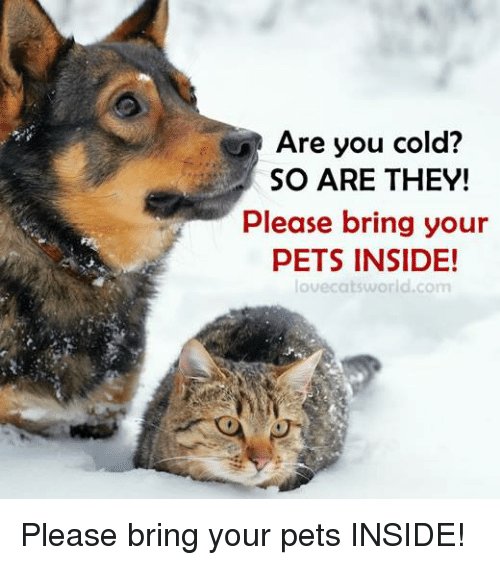 Frigid weather throughout #SanDiego tonight.  Please remember to bring your pets inside.