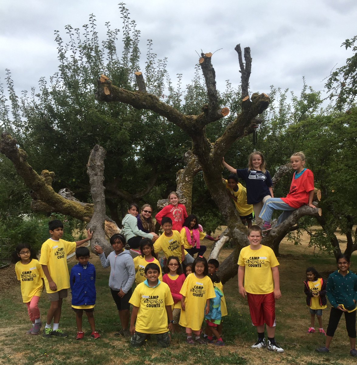 CampKindness's tweet photo. In just a few months, we'll be holding our Summer Camps in association with @GreaterGoodSC! We are excited to help engage kids and show them all the ways they can help out in our community!
Sign up at our website! https://t.co/CADEP6t1yX