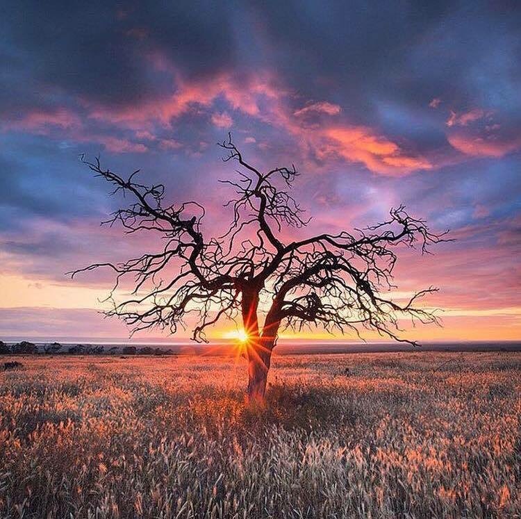 litchfieldnp's tweet photo. 📷: IG: mira___k_ 
Tag your favourite Litchfield images #LitchfieldNationalPark to be featured!  
Selected by: @danykelly 
And remember, it's always a good time to  #GetLostinLitchy 😎 https://t.co/0mbPrU8nJr https://t.co/WZwoQB22mf