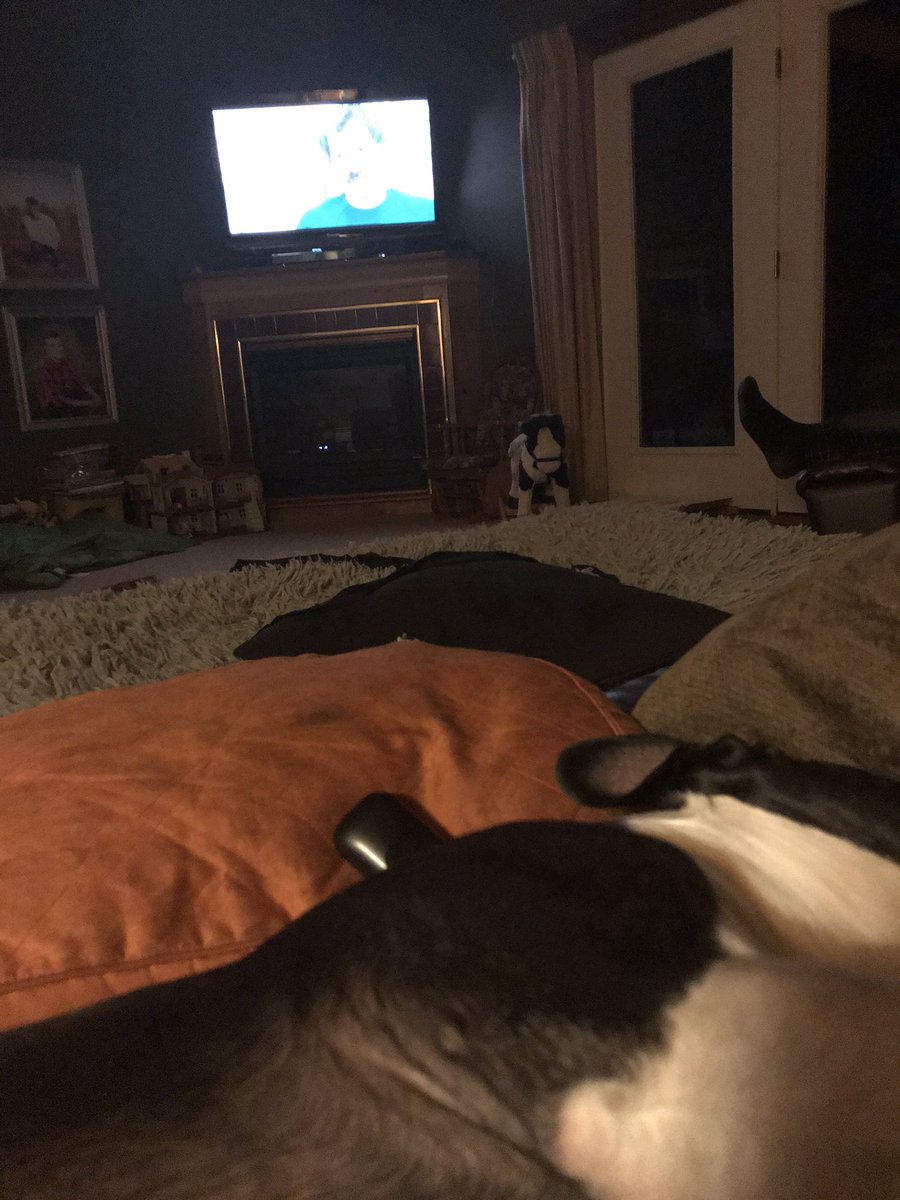 rossi_jan's tweet photo. Exciting Friday night.  Waiting for spring.   Thank god for Netflix and @MarkDuplass new film.   Cosmo is not into movies but he’s company. https://t.co/DwJK42RExp