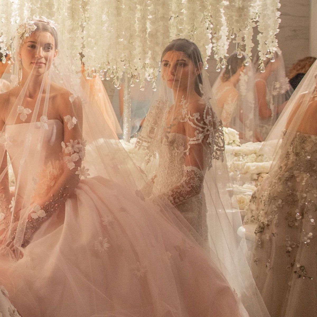 Brides Of Beaulieu House tweet media