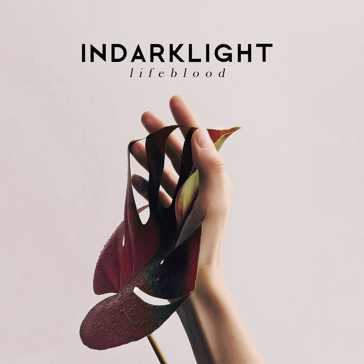 It’s with a heavy heart that we have decided to part ways as a band. Please head over to our Facebook page for the full announcement.

As our swan song, we're pleased to announce our final EP, 'LIFEBLOOD', now available to purchase on CD via our website: indarklight.bigcartel.com/product/lifebl…