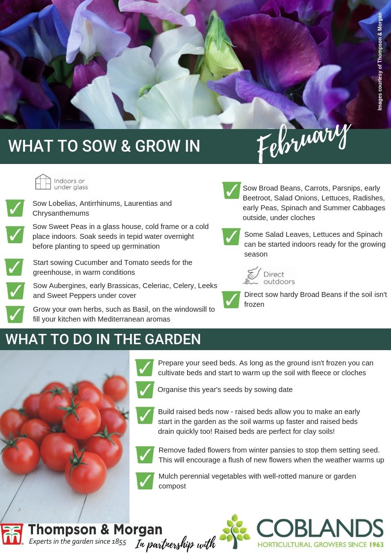 CoblandsGC's tweet image. To help you choose some seeds today at our 'Seed and Bulb' event, here are some useful planting guides for February and March in conjunction with Thompson &amp;amp; Morgan seeds. Come and join the fun today! @ThompsonMorgan #coblandsplantcentre #sevenoaks #seeds #bulbs #bedding #plants