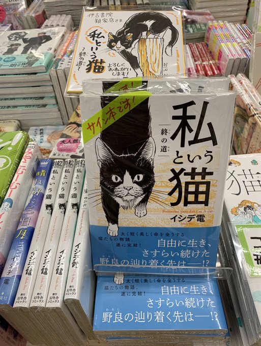 伊吉書院 類家店 Ikichi Ruike 19年02月 Twilog 伊吉書院 類家店 Ikichi Ruike 19年02月 Twilog