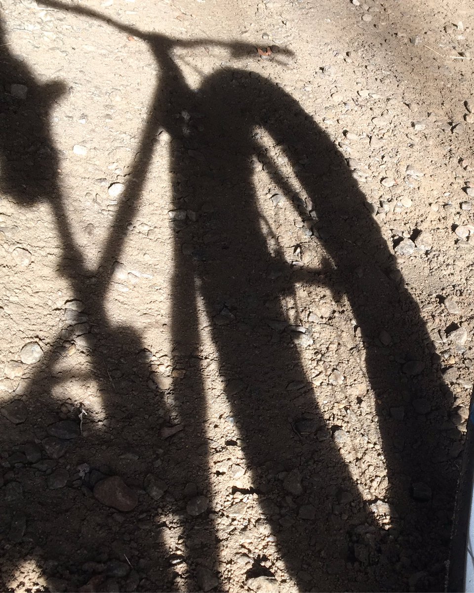 pibb41's tweet photo. What kind of shadow do you cast? https://t.co/vw6NwgKrtG
