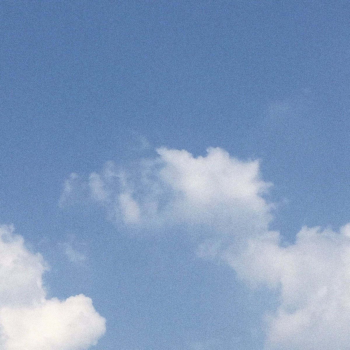 ɹǝd tweet media
