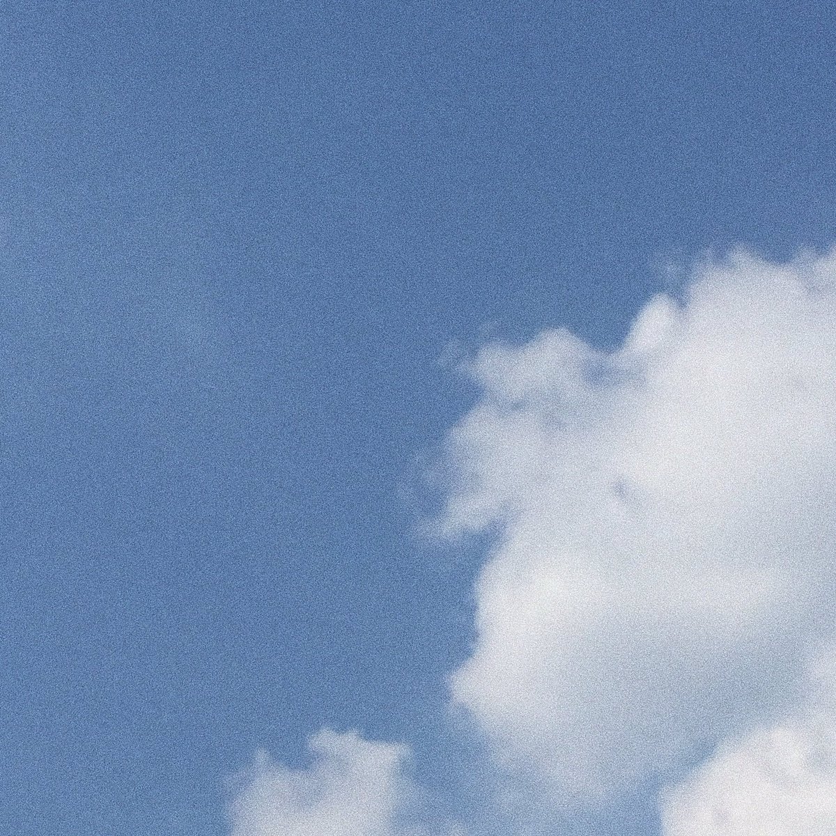 ɹǝd tweet media