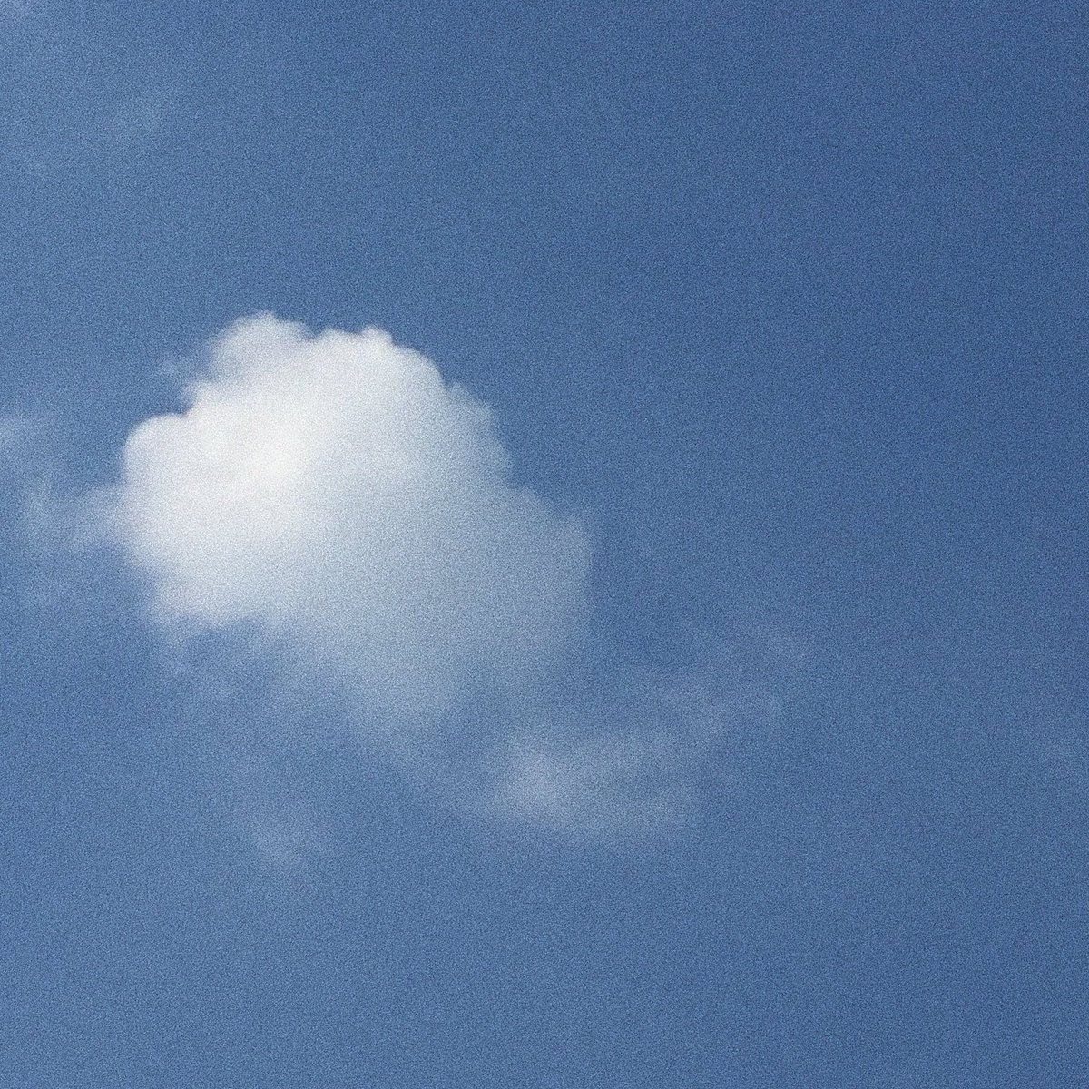 ɹǝd tweet media