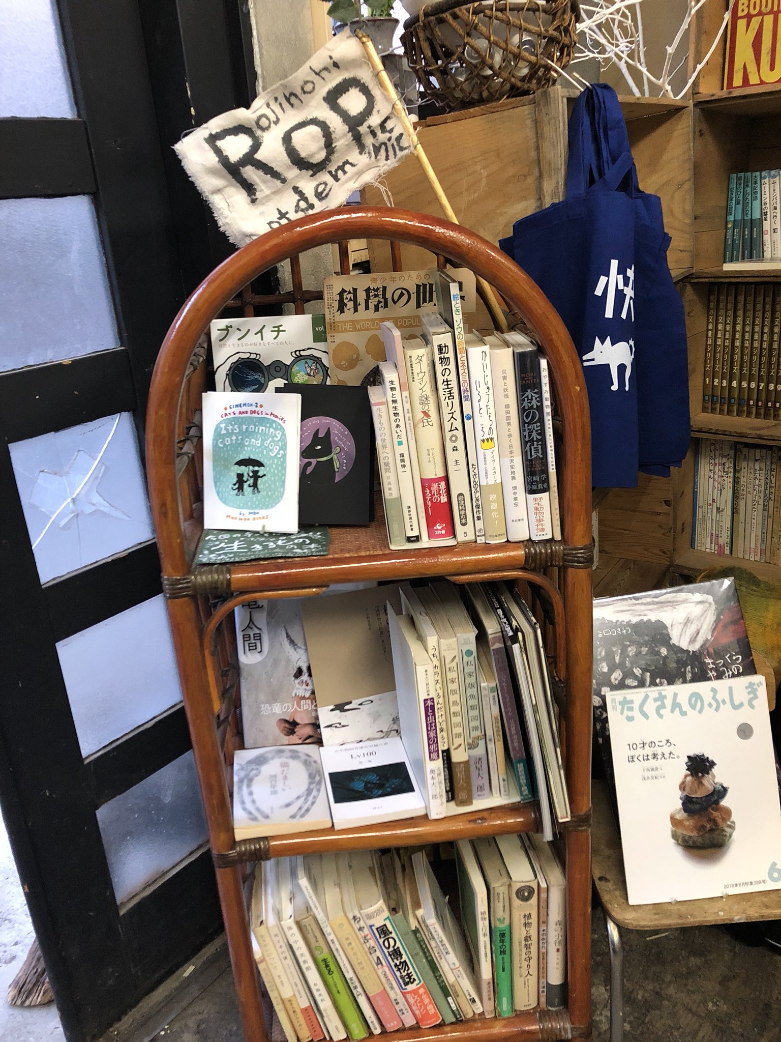 ট ইট র Sako Yuko 路地ブックスさんにて 気になる本屋さん めぐり すみかさんと たのしいおしゃべり ট ইট র Sako Yuko 路地ブックスさんにて 気になる本屋さん めぐり すみかさんと たのしいおしゃべり
