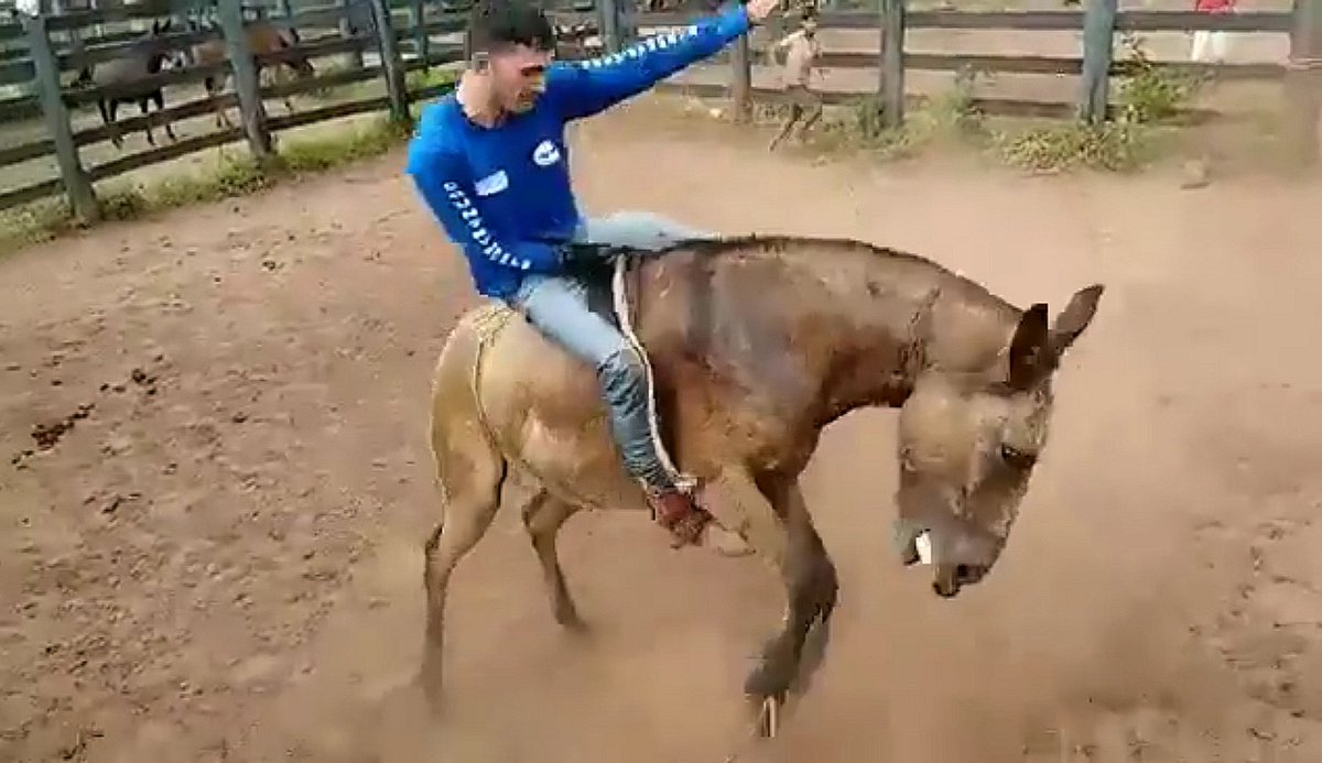 #Rodeo funny Video: >> youtu.be/MMkxrOrHK_I << #Horses #donkey #Cowboys #zoo #wildlife #horsesofinstagram #YouTuber #animallovers #RIDEONTIME #Farm #AnimalCrossing
