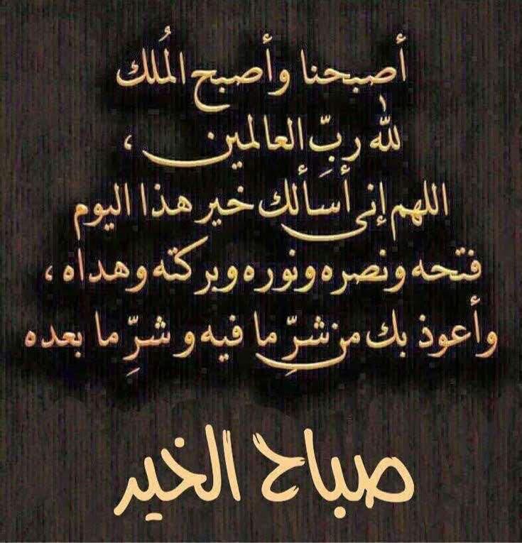 ew444r's tweet photo. #صباح_الخير🌹 https://t.co/lXrkqWa7Ys