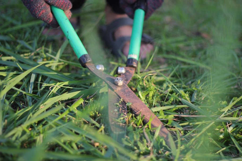 Untuk mengurangkan penggunaan bahan bakar dalam menggunakan mesin pemotong rumput. They do everything manual. Rumput yang dipotong dimasukkan ke dalam compos bin.