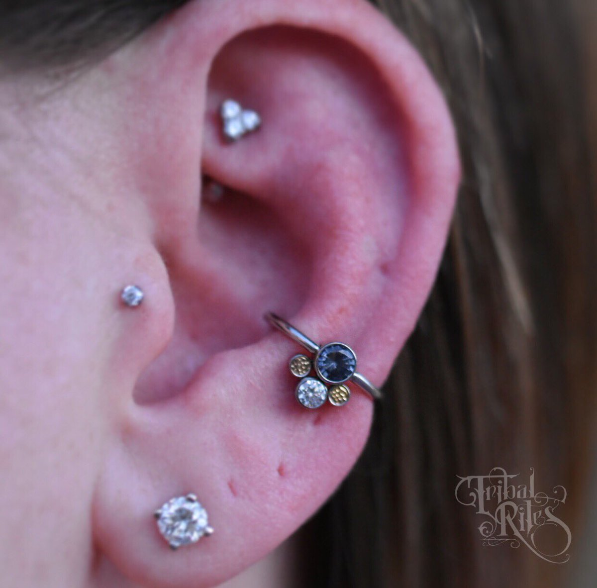 TribalRites's tweet photo. This dreamy piece from @ANATOMETAL found the perfect home in this conch! ✨ #tribalritesfortcollins #legitbodyjewelry #legitbodypiercing #bodyjewelry #fortcollins #tribalrites #anatometal #yellowgold #conchpiercing https://t.co/dh7QJuKJkC