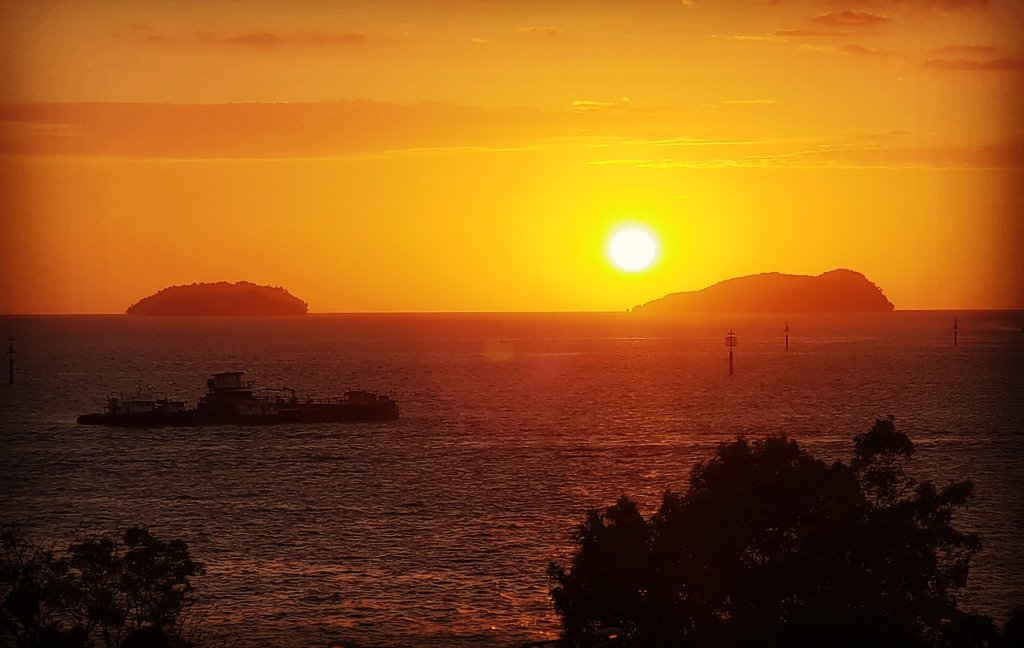 endless_roaming's tweet image. Roaming around Borneo for 8 days, photo highlights, I’ll have a blog out shortly endlessroaming.com/2019/02/23/roa…