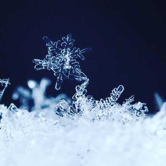 Dest_Dance's tweet photo. Due to deteriorating road conditions and continuing snow and ice conditions overnight, all Saturday classes for Saturday, February 23, 2019 are cancelled. Makeup classes are available. We are sorry for any inconvenience this may cause. https://t.co/mPEI1uLSkv