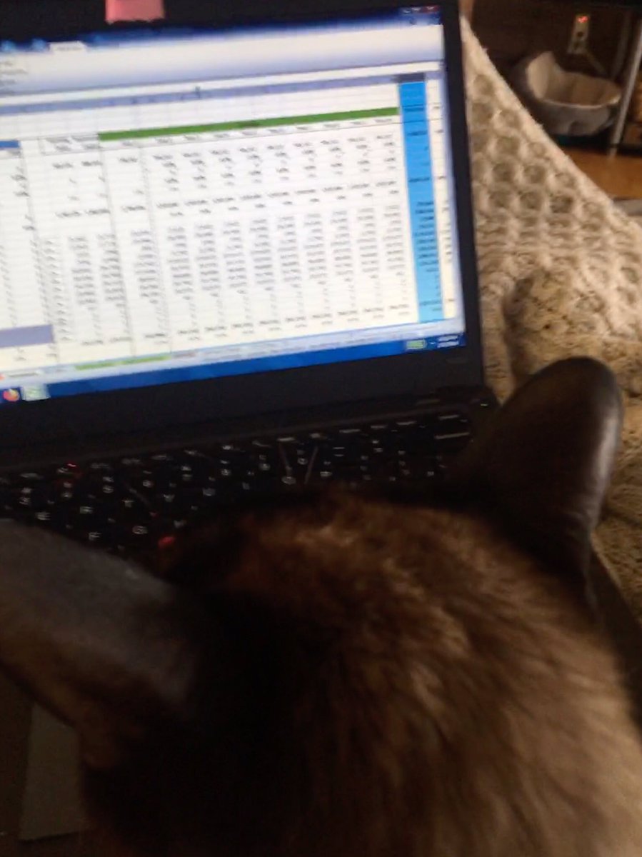 RoMEOWTheCat's tweet image. @Scootersadog #spreadsheetproblems #financials #MEOW$MEOWproblems