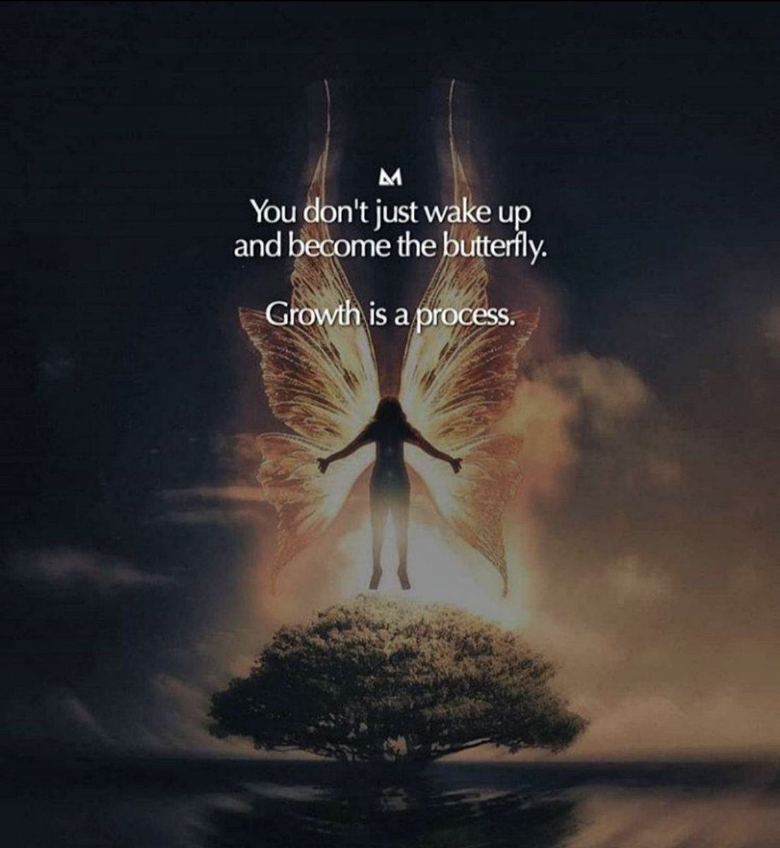 anuragdangii's tweet photo. You don't just wake up and become the butterfly. #Growth is a process.
#Morning_Motivation
#anuragdangi
#economy
#businessgrowth
#development
#dreambig
#habits
#changemanagement
#dreams
#entrepreneur
#efficiency
#digitalstrategy
#ImAtThatAgeWhere
#MotivationalQuotes https://t.co/5JG9I2flvN