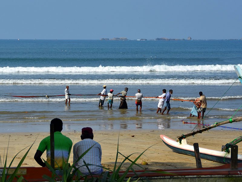 Pulling Fishing Nets To Shore
#fishingnets #pullingtoshore#pullingnets #fishing #fishermen #fishermanslife #traveltips #traveling #travelblogger #SriLanka #Tourisme #tourist #ttot #wanderlust #SriLanka #Ceylon #LKA #VisitSriLanka #Travel #Tourism #follow_me #l4l #freefollowers