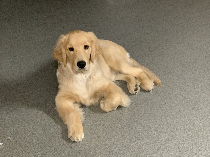 二宮祥平は結婚して嫁や子供はいる 身長や愛犬 愛車もチェック Youtuber Hacker