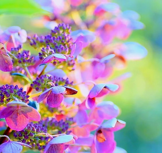 addyiceangel's tweet image. Good Night Twitterverse
✨💤🌸😴🌸💤✨