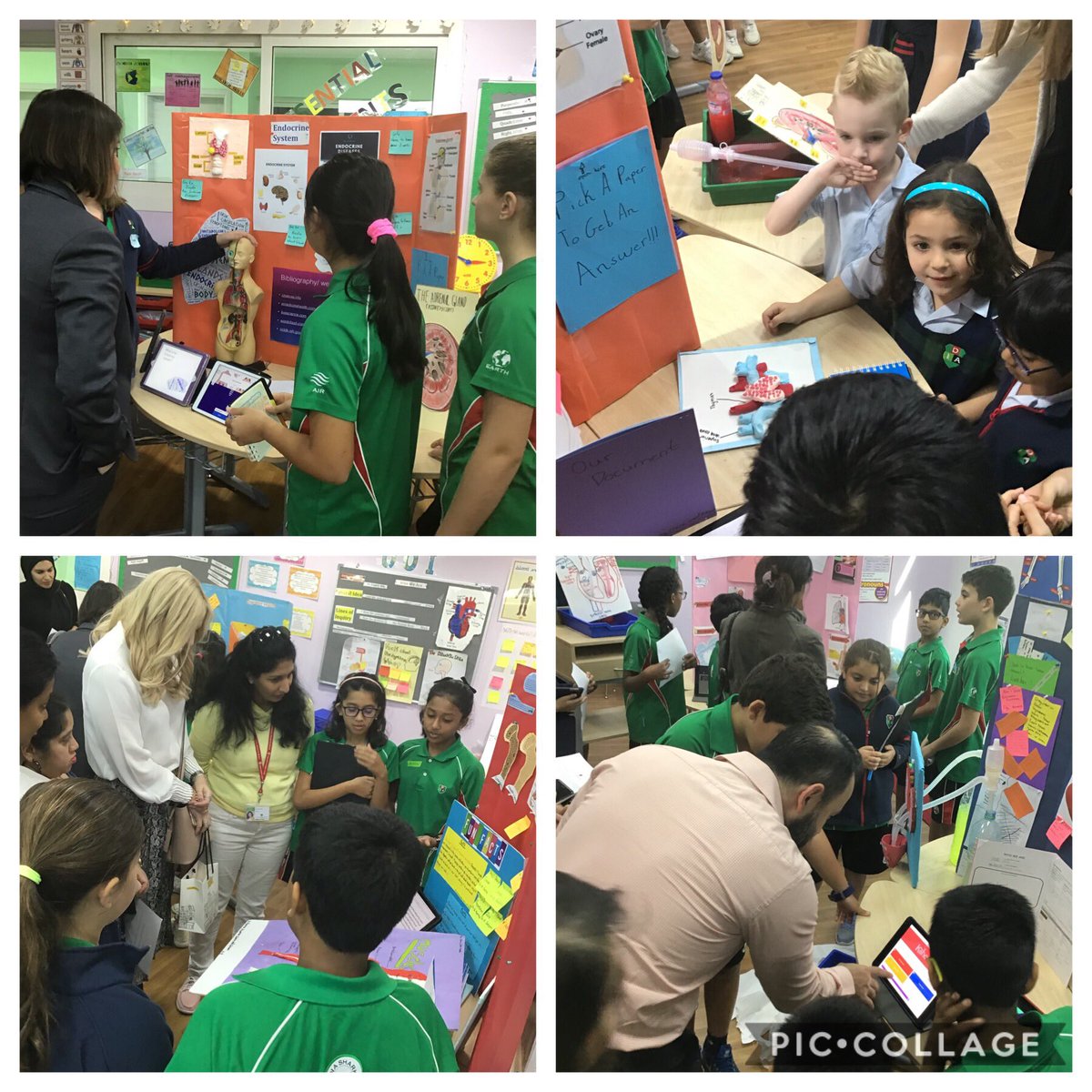 DIAB_Grade5's tweet photo. Bodyology Fair in 5B- all the hard work by students reached its fruition.  From using scientific vocabulary explaining how our body systems work to simplifying it for our lower primary visitors, Grade 5 students were Knowledgeable and Caring. #DIABGrade5 #ibpyp #DIABlearning https://t.co/eHYycFw5By