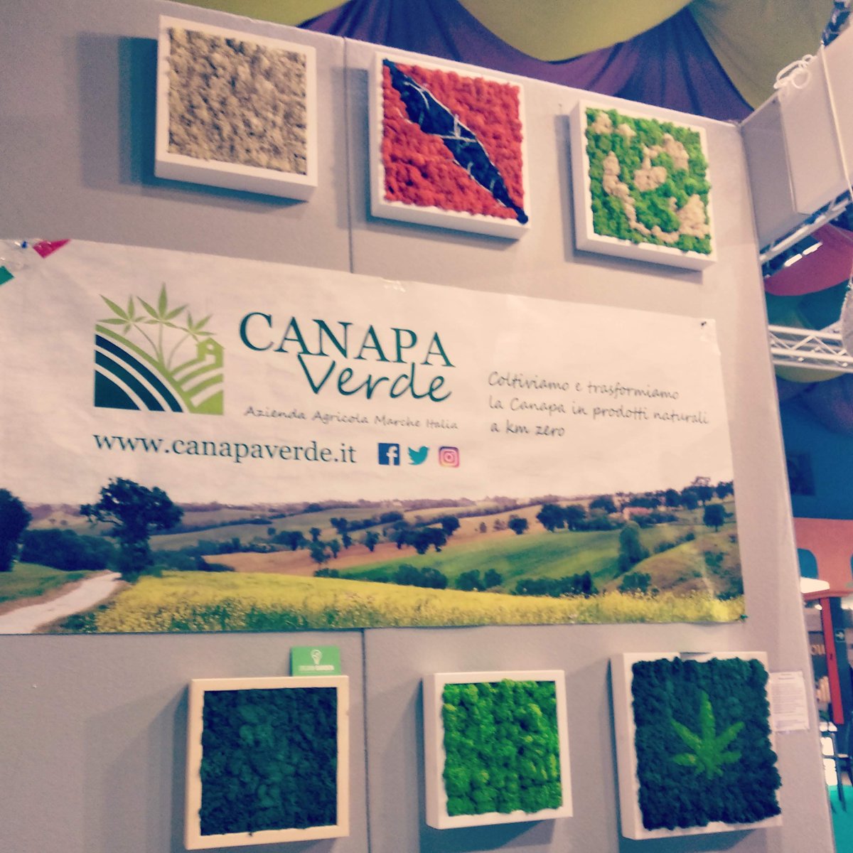 Canapa Verde tweet media