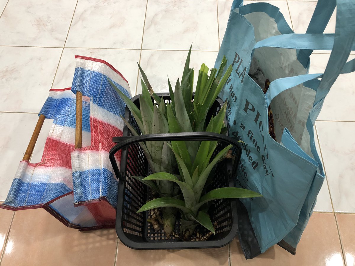 So this is me everytime I go to farmer market. I bring my own bakul. This is still a bit awkward for ppl in my place. Mungkin tempat lain tidak. This bring a lot of attention from anyone bila sy membeli di pasar. Semoga mereka dpt belajar sesuatu yg baru jg.